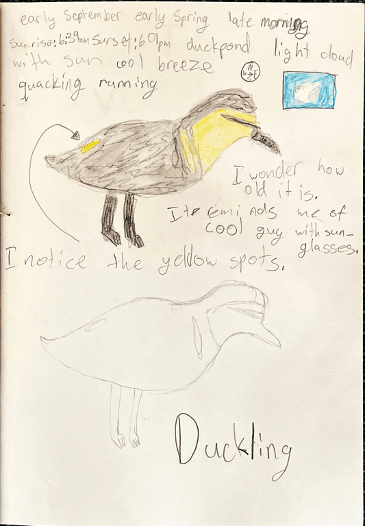 A page from a child’s nature journal